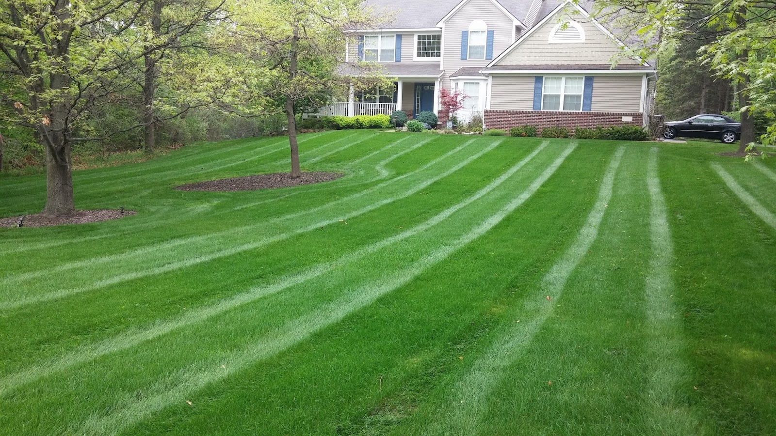 All Seasons Property Services — photo
