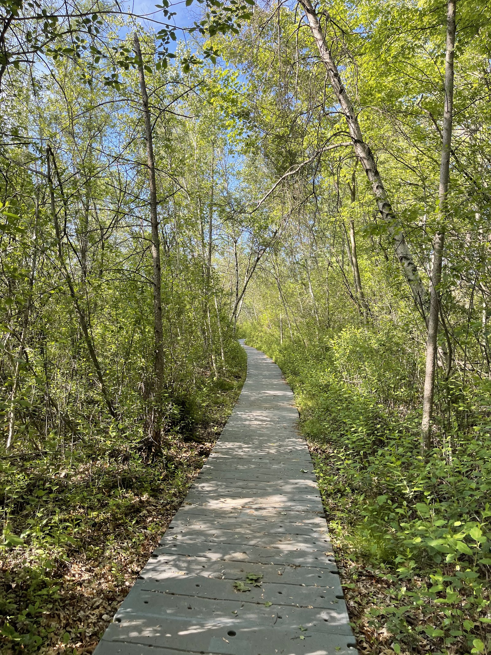Eliason Nature Reserve in Portage