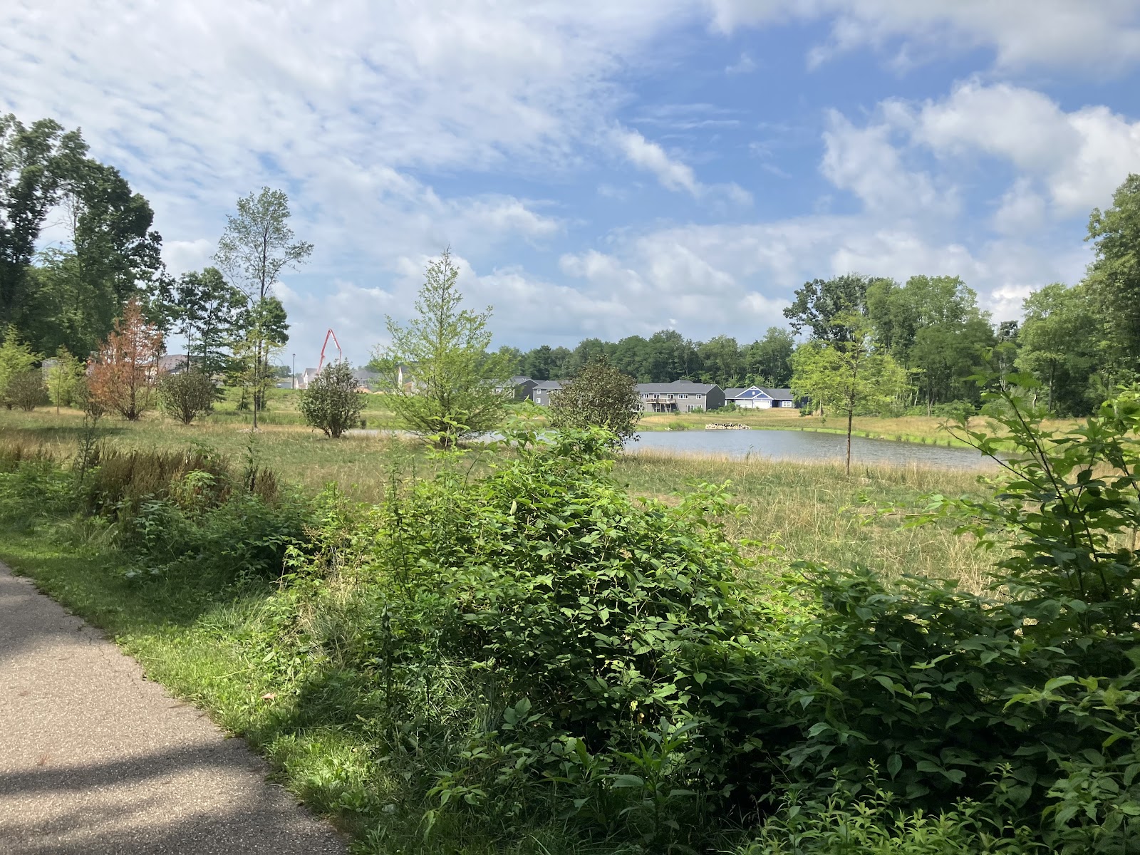 Eliason Nature Reserve Trail in