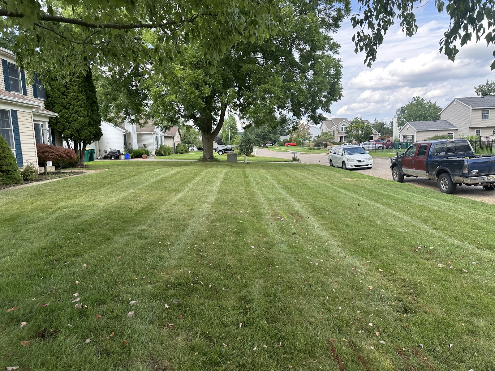 Maxwells mowing etc in