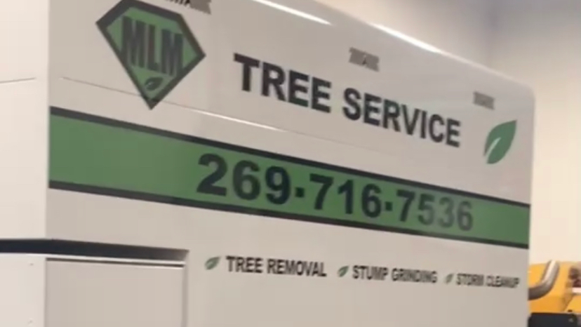 MLM Tree Service — photo