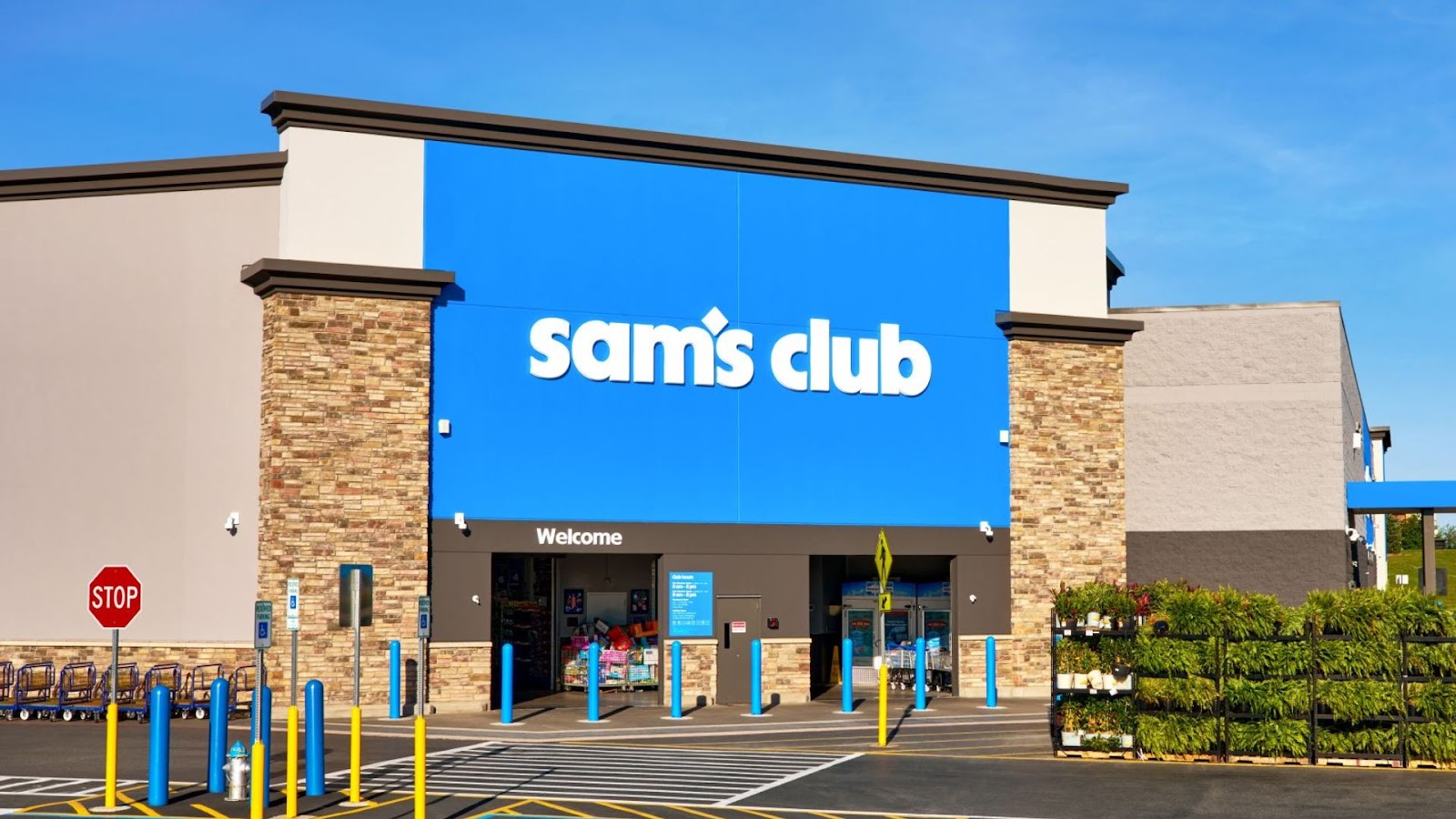 Sam's Club Tire & Battery — photo
