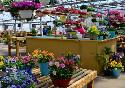 Schuring Retail Greenhouse in Portage
